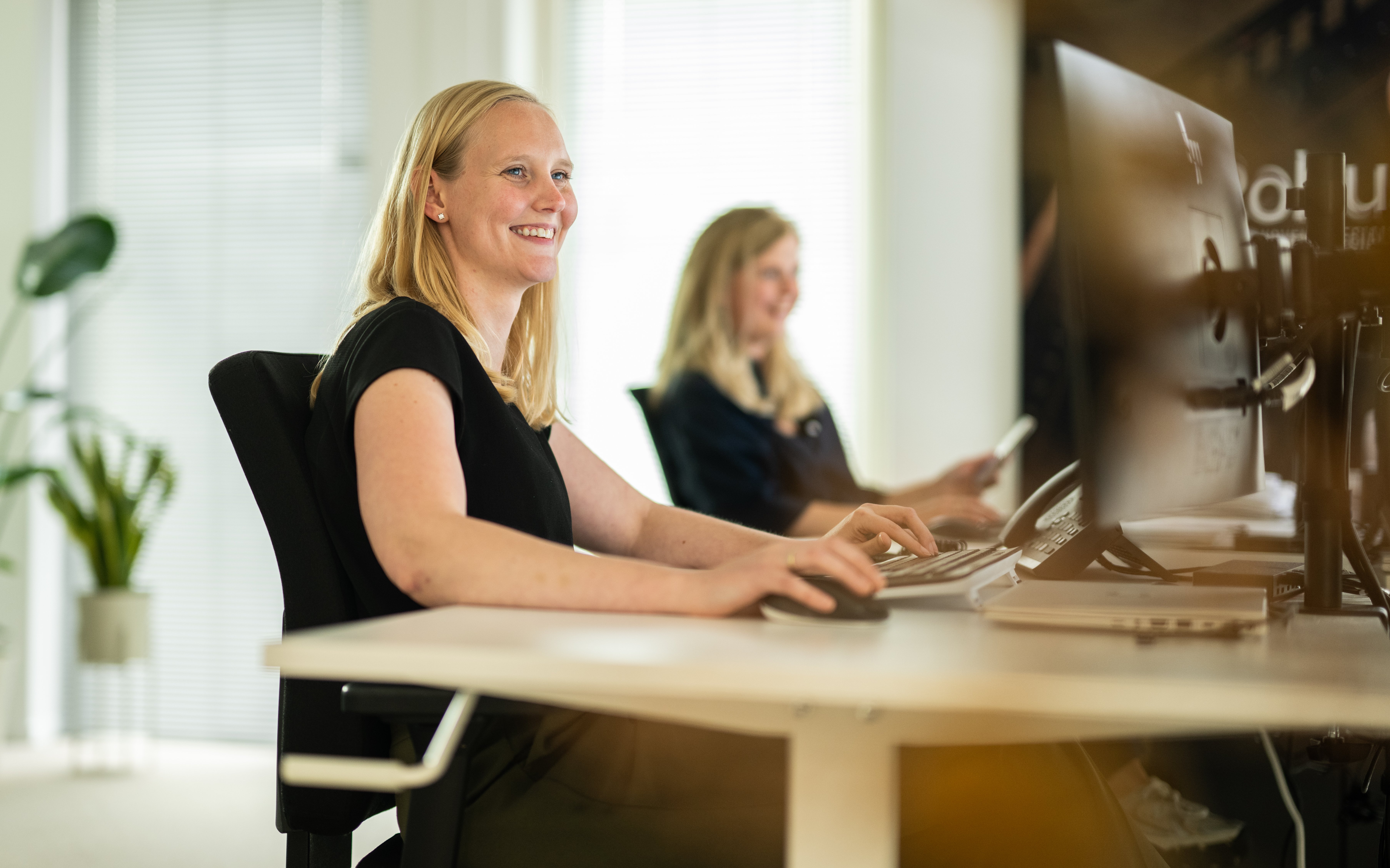 Customer support team helping carpet wholesalers with product information and project guidance